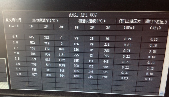 阀门API耐火测试(图3)